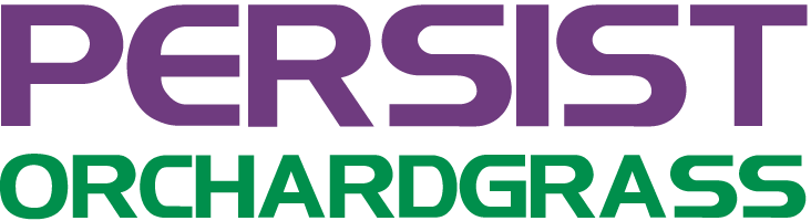 Persist Logo